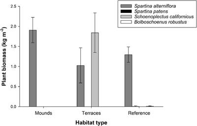 Does compensatory mitigation restore food webs in coastal wetlands? A terrestrial arthropod case study on the Upper Texas Coast